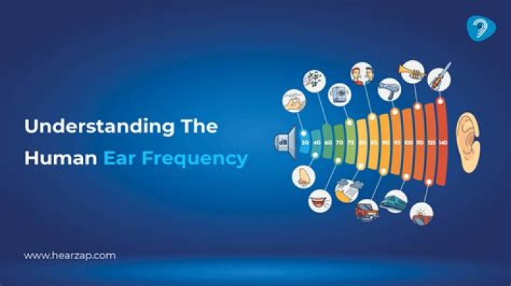 How ear function? Quanswer