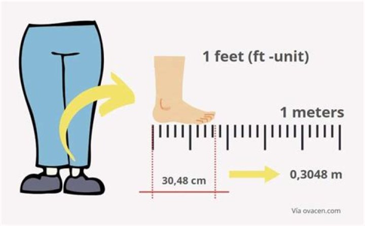 How Many Feet Is 20 Meters?