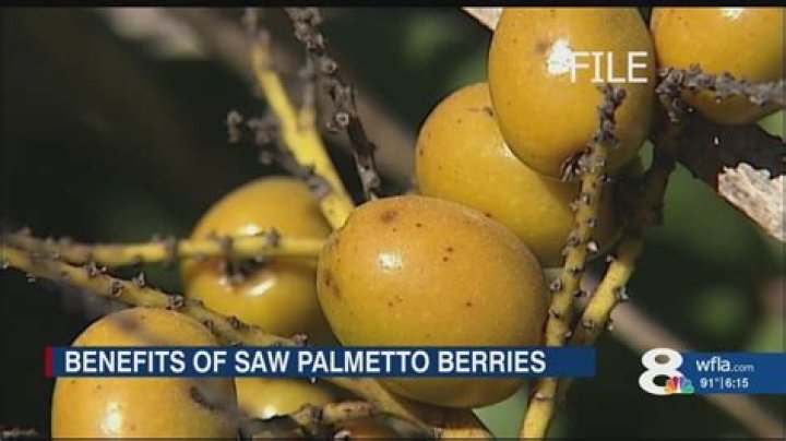 How much do Saw palmetto berries sell for?