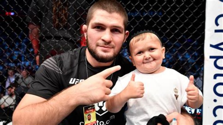 How old is Hasbulla Magomedov? The Scottish Sun