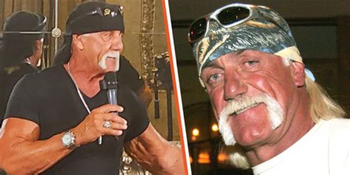 Hulk Hogan, 69, gets engaged to yoga instructor Sky Daily, 45, as he