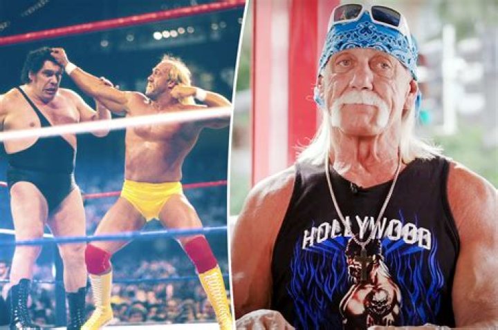 Hulk Hogan, 70, marries Sky Daily, 45, in intimate Florida wedding HELLO!