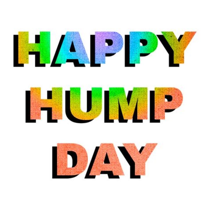 Hump Day PNG HD Transparent Hump Day HD.PNG Images. PlusPNG