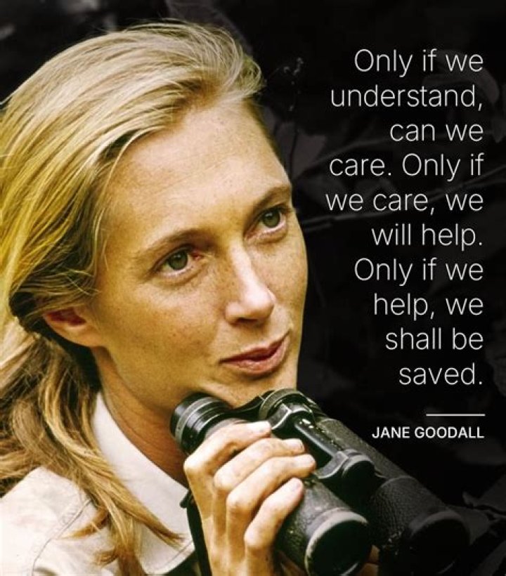 If we care about Britain's future, we must not our past Harry