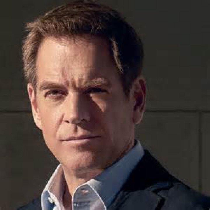 Image of Michael Weatherly