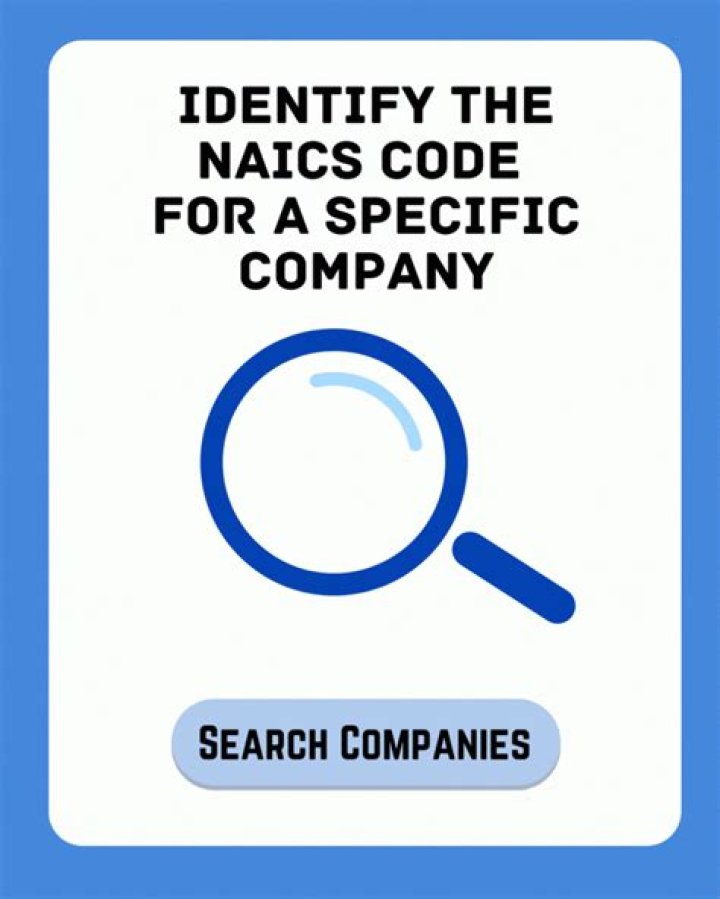 Insurance Company Naics Code Lookup Financial Report