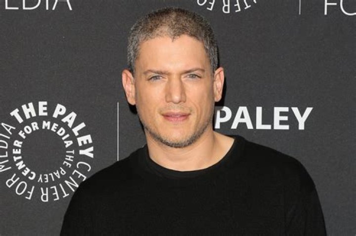 Is Wentworth Miller Gay, Is He Dating Luke Macfarlane?