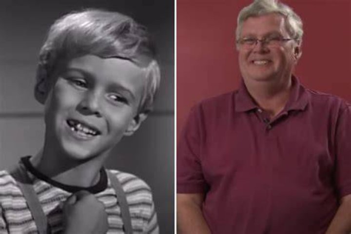 Jay North Where Is The 'Dennis the Menace' Star Today?