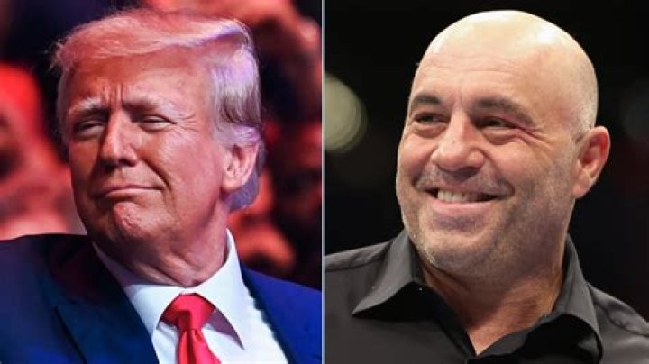 Joe Rogan says he allows his kids to hit him 'My kids are allowed to