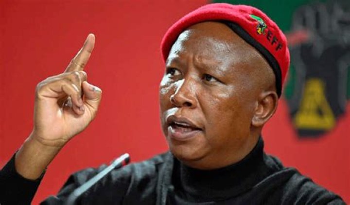 Julius Malema's wife makes rare public appearance for his birthday [pics]