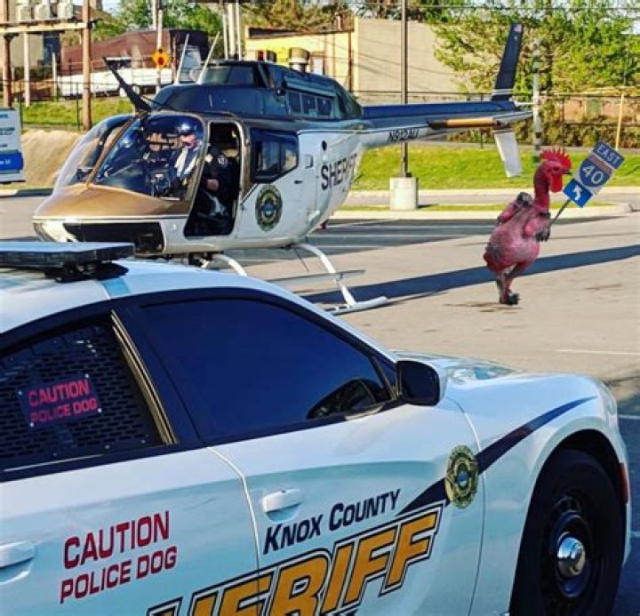 knoxsheriff on Twitter "SILVER ALERT https// / Twitter