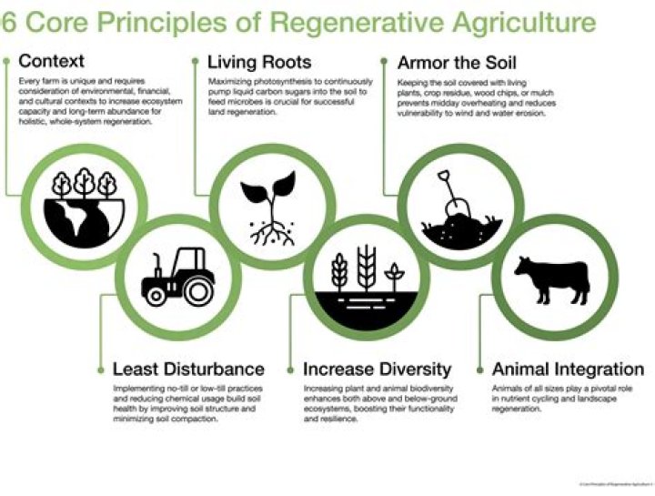 Leading in the Regenerative Health Arena Precision Regenerative