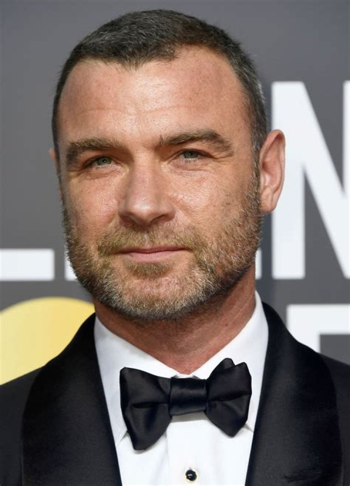 Liev Schreiber's Sons Dress Up in Costume at ComicCon! Photo 3932255