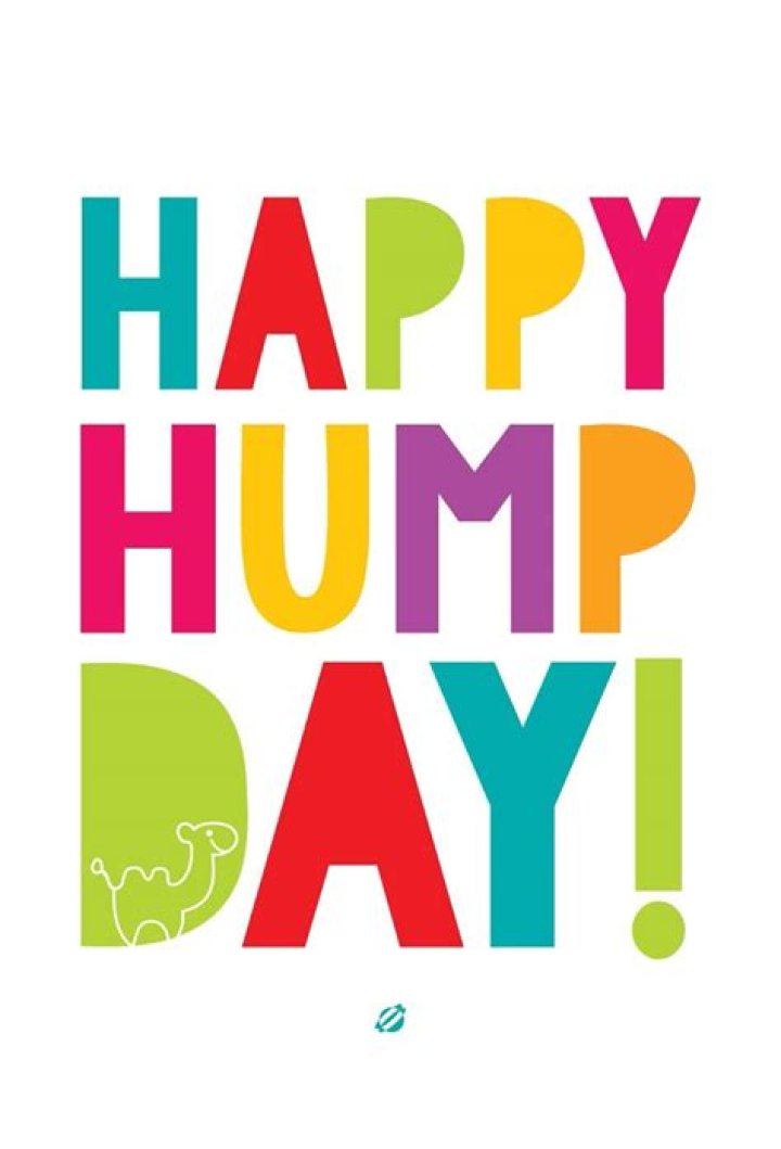 LostBumblebee Happy Hump DAY!