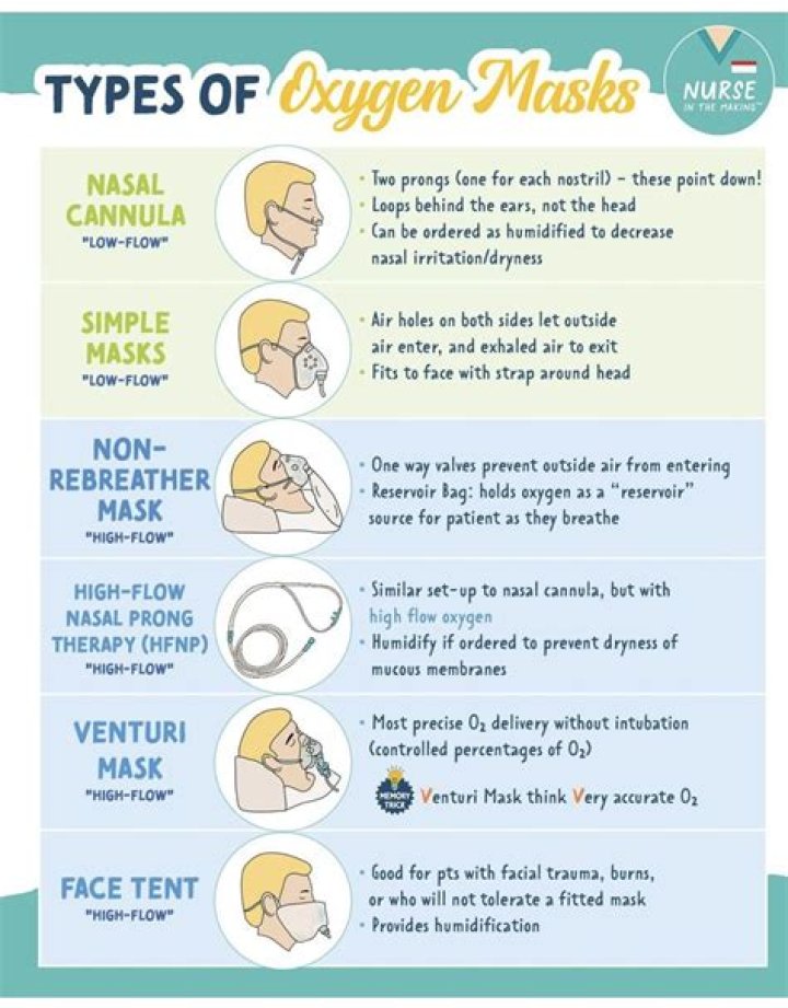 Mask Cheat Sheetpdf Protocols Information Age Images