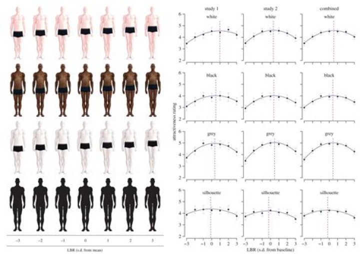Men with Slightly Longer Legs Are More Attractive to Women American