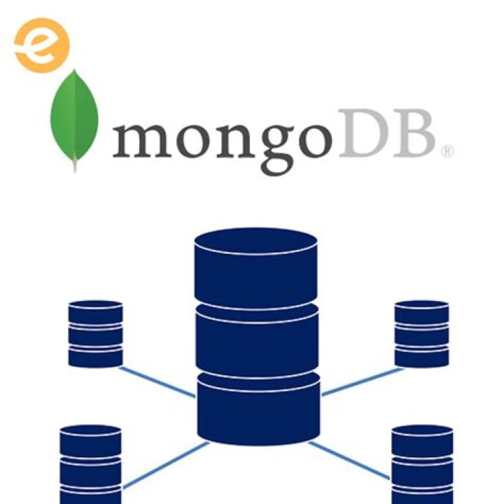 Mongodb Database