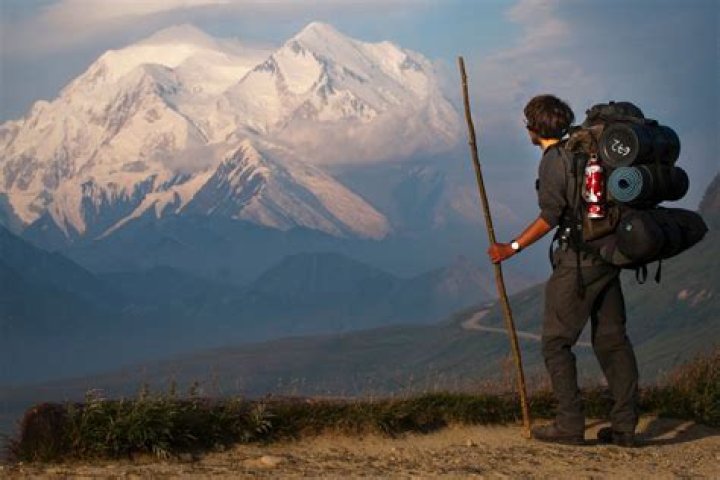 Mount McKinley Free Stock Photo Public Domain Pictures