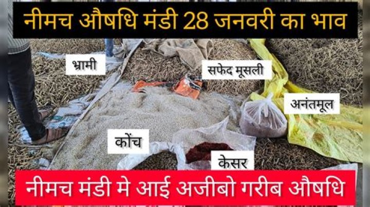 Neemuch Mandi Neemuch mandi