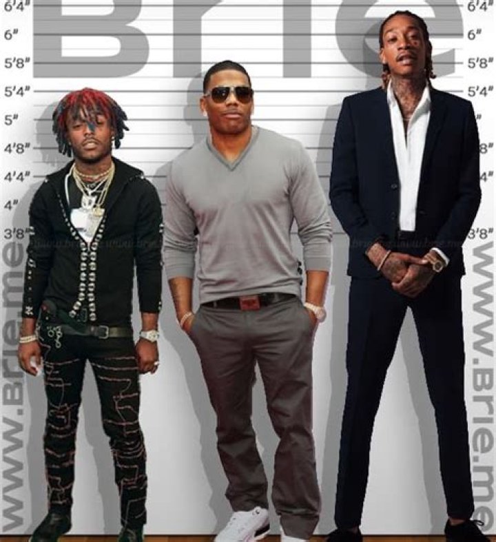 Nelly Height Brie