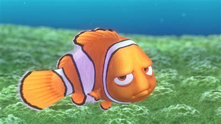 Nemo Disney Wiki