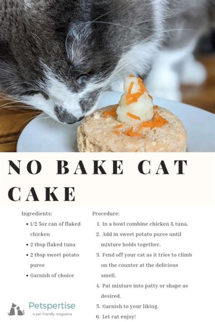 Niki Cat Food Ideas