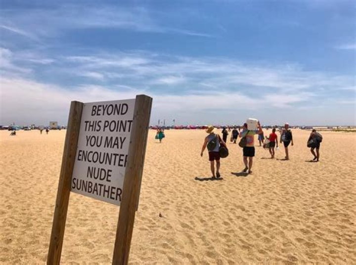 Nudist Nude Beach Sex Telegraph