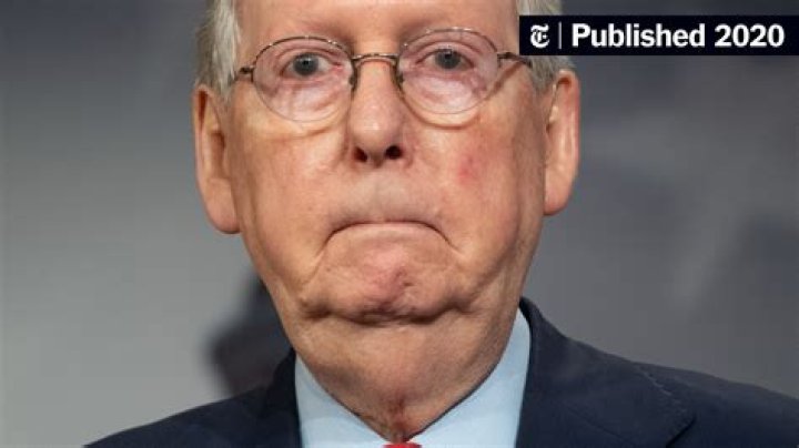 Opinion Mitch McConnell Is Not as Clever as He Thinks He Is The New