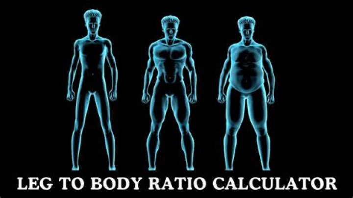 Optimize Your Physique: Understanding And Enhancing Your Leg Torso Ratio