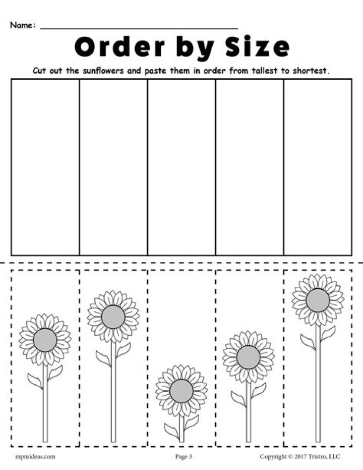 Order By Size Worksheet
