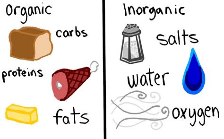 Organic vs. Molecules Expii