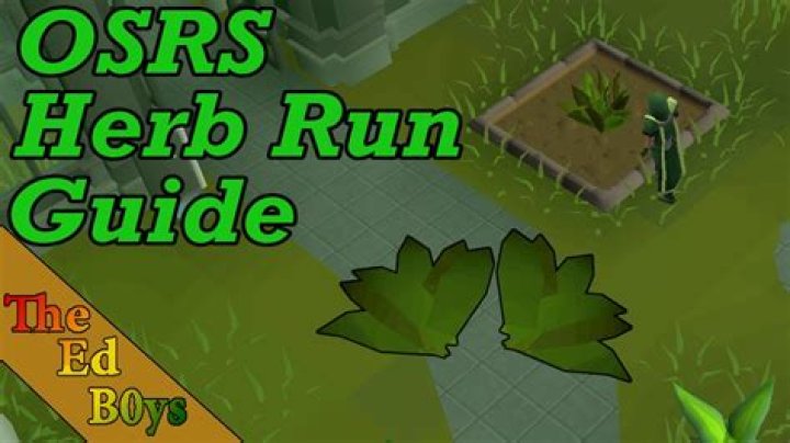 OSRS Herb Run Guide Make Money Growing Herbs (Herb Runs) YouTube