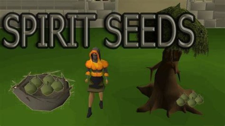 OSRS Spirit seeds GUIDE YouTube