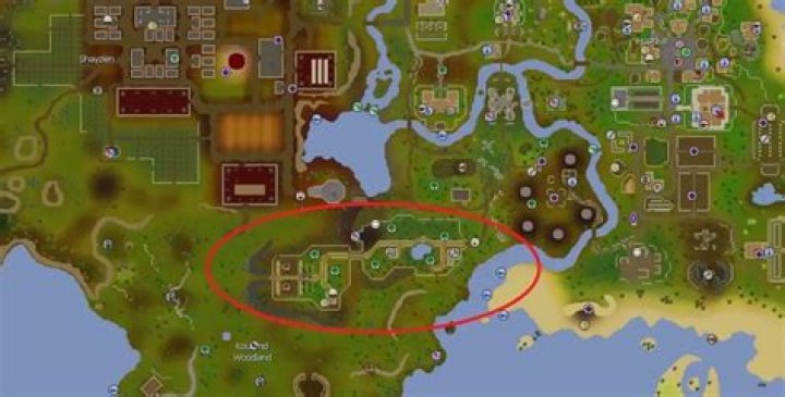 OSRS Woodcutting Guide Training 199 Fast (F2P & P2P Methods)