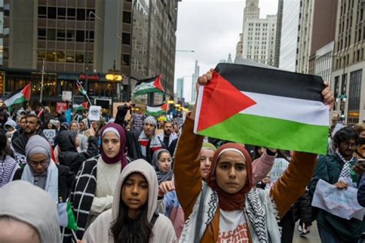 Palestine advocates decry MSNBCâ s cancellation of Mehdi Hasan news