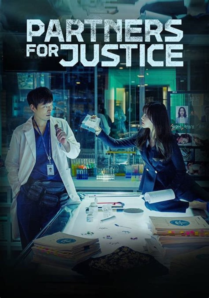 Partners for Justice streaming serialu online