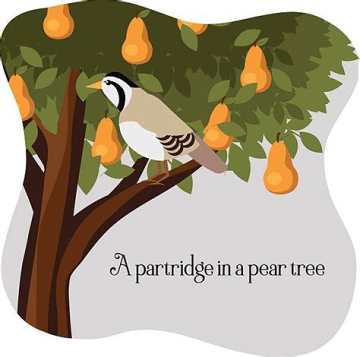 Partridge in a Pear Tree Catholic christmas, Catholic, Catholic prayers