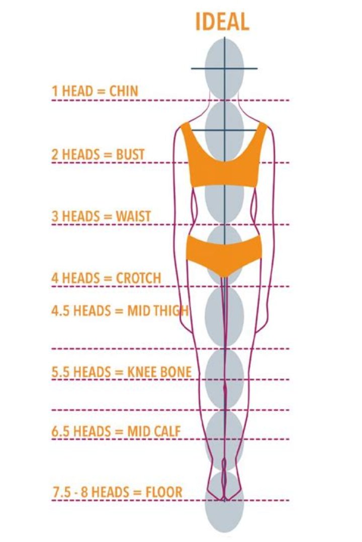 Perfect Body Ratio