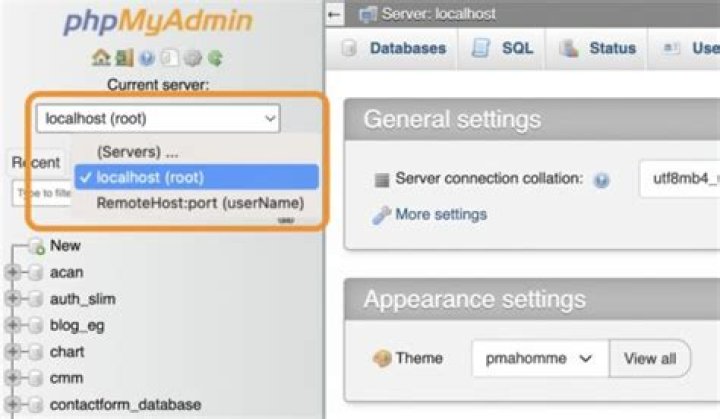 phpMyAdmin How to Connect a Remote Database? Phppot