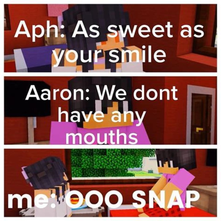 Pin on Aphmau's Minecraft series