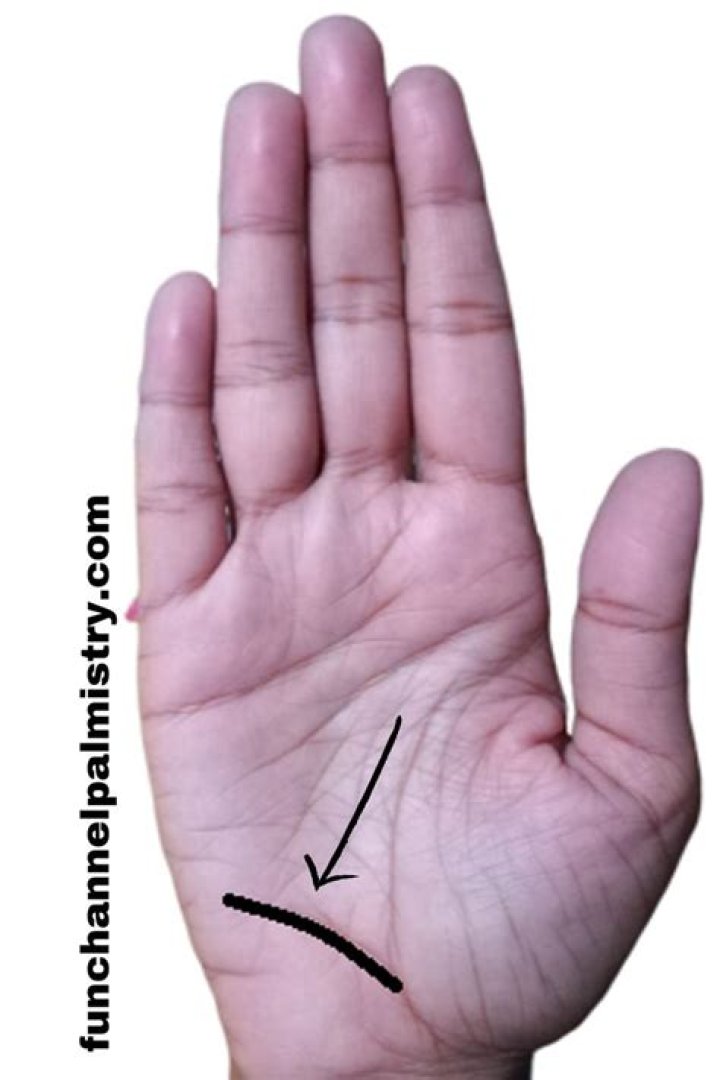 Pin on Palmistry Unique Science And An Art