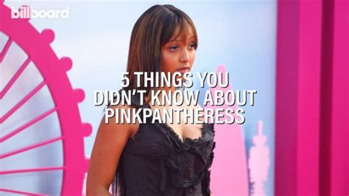 Pinkpantheress Arrested, What Did Pinkpantheress Do? Why Was