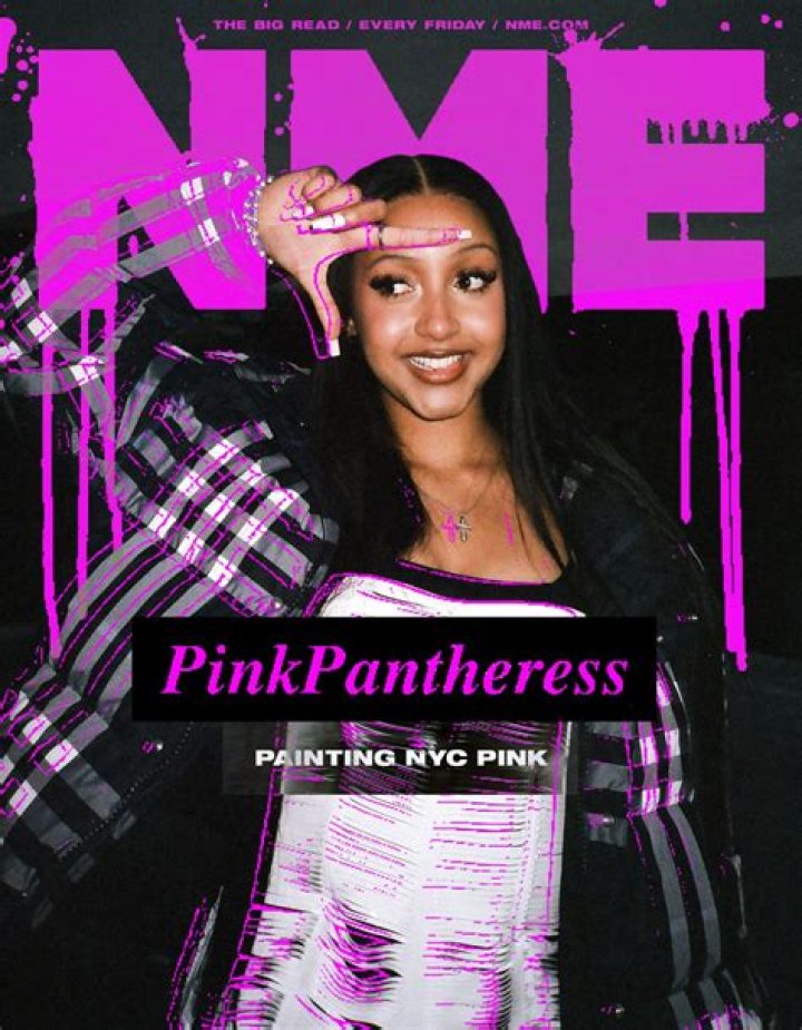 PinkPantheress The 'breakout' singer who's happy to be a mystery BBC