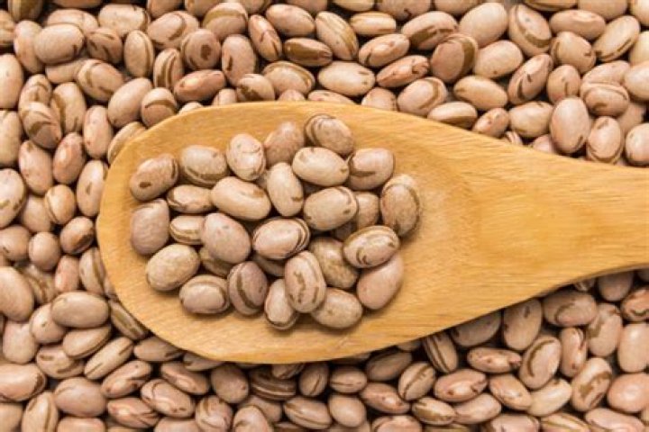 Pinto Bean Legume. Grains in Wooden Spoon. Close Up. Stock Photo