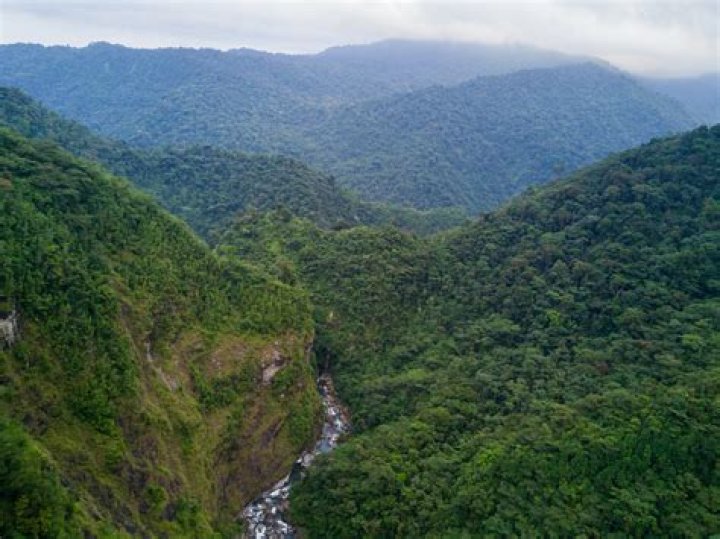 Potentially The Most Important National Park In Costa Rica Barbilla