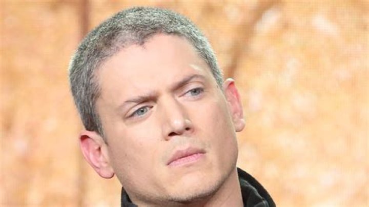 Prison Break Star Wentworth Miller and His Family BHW