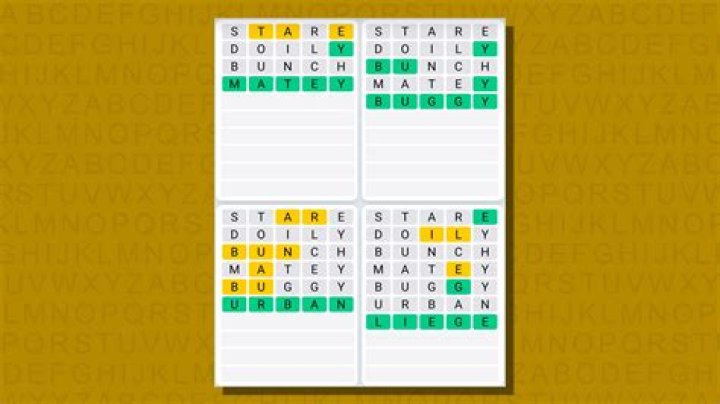 Quordle today hints and answers for Monday, May 1 (game 462) TechRadar