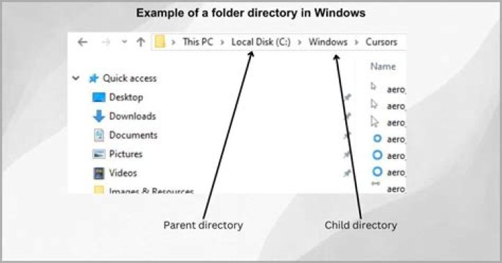 Resolve .m2 Folder Issues: A Comprehensive Guide