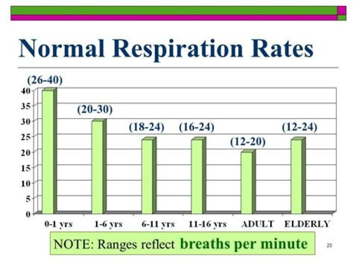 Respiratory Rate Chart By Age Ponasa vrogue.co