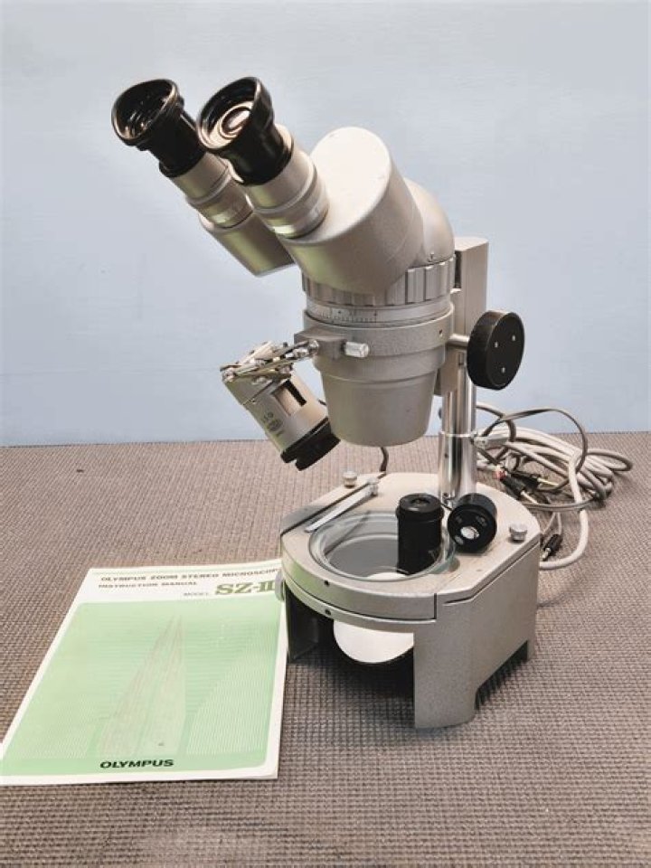 Revolutionary Dissecting Microscopes: Unveiling The Microcosm